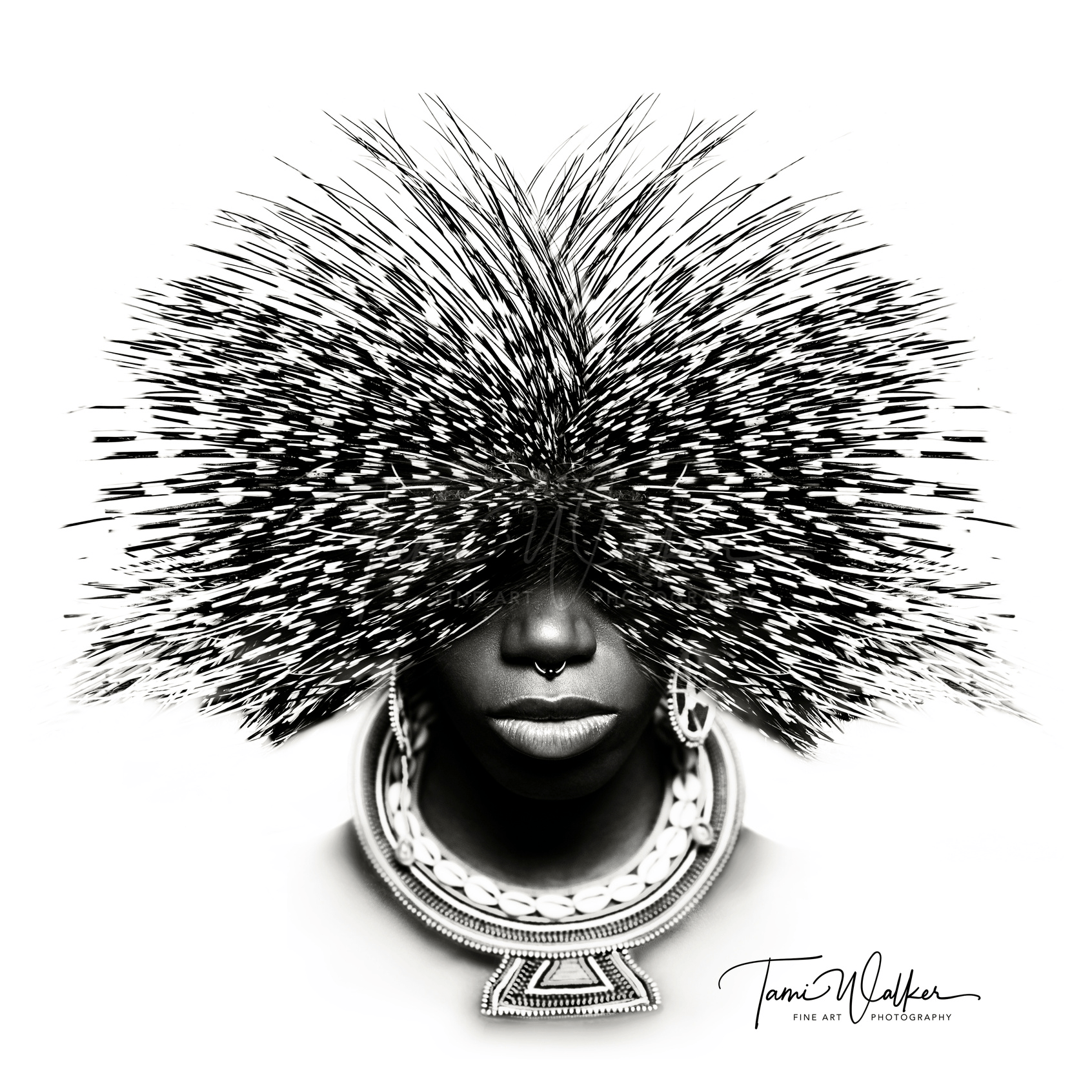 African Elements
