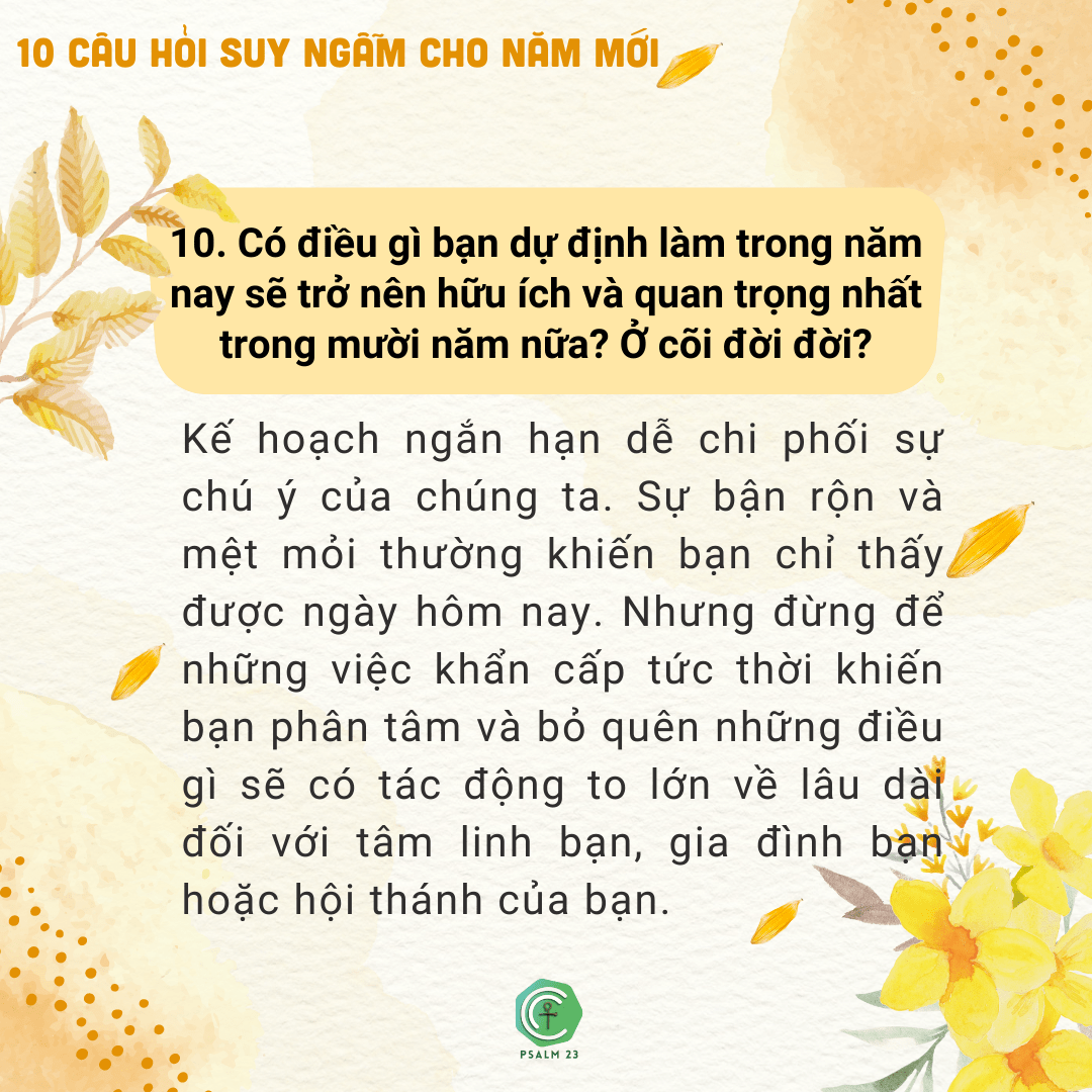 Câu hỏi 10