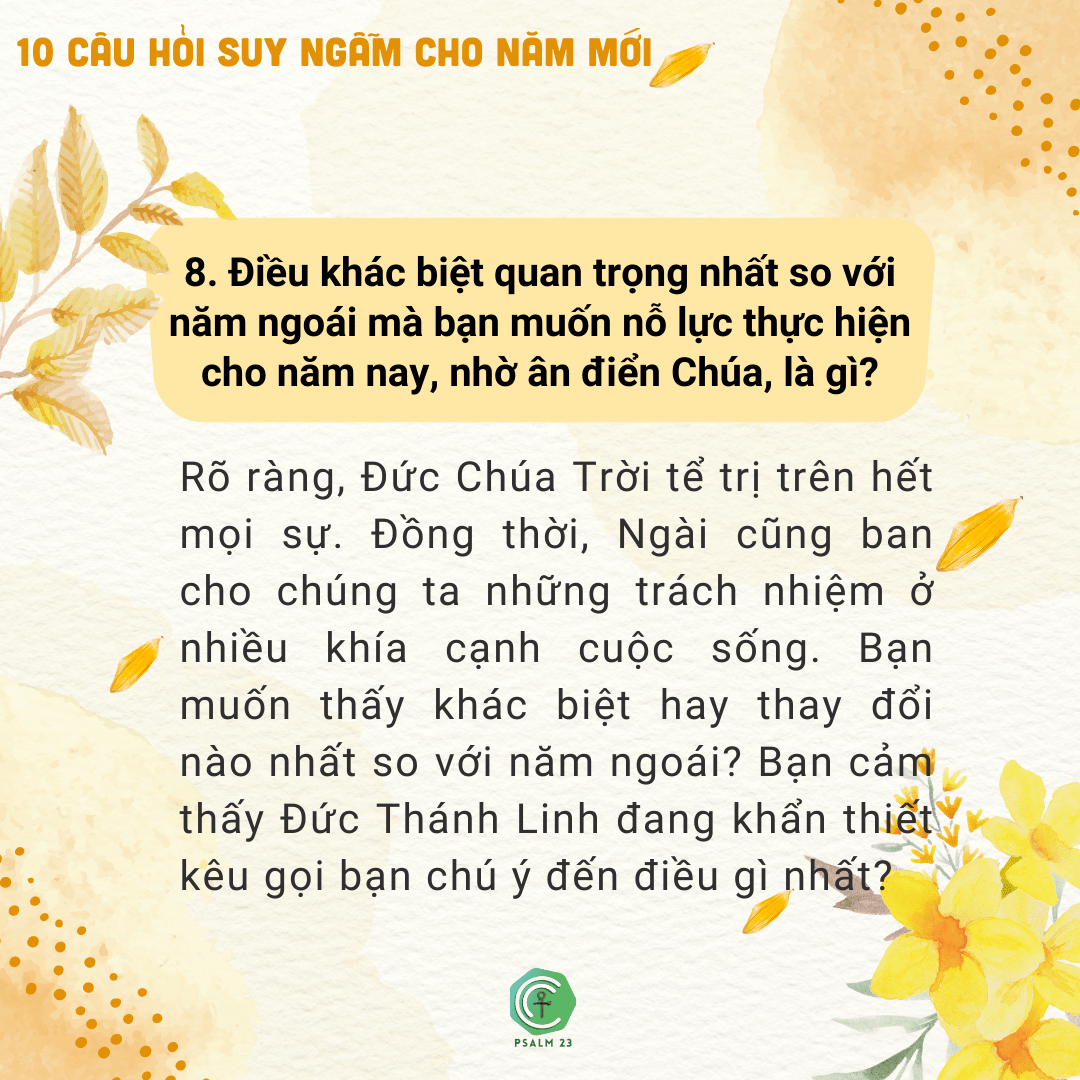 Câu hỏi 8