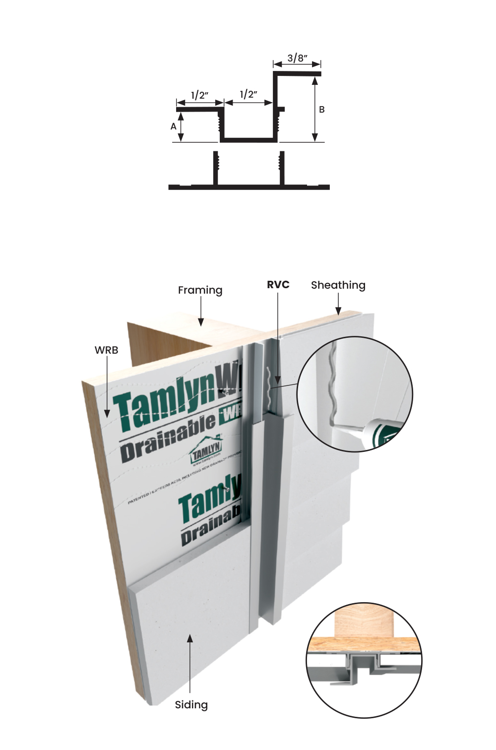 Transition Vertical Reveal - Tamlyn