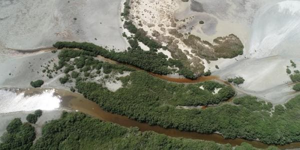 إدراج محمية الأراضي الرطبة بمحافظة الوسطى ضمن قائمة الأراضي الأهمية الدولية