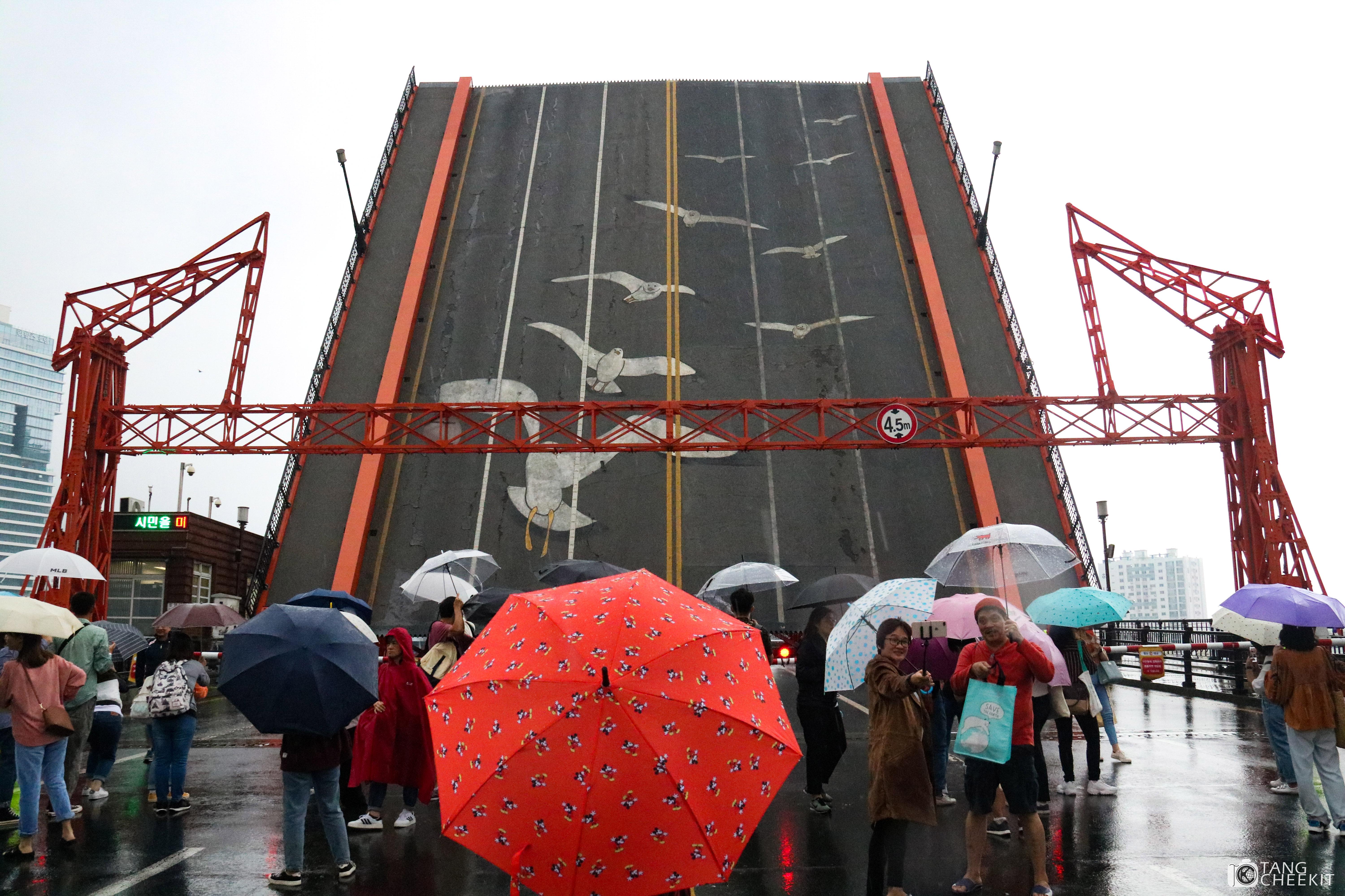Yeongdodaegyo Bridge