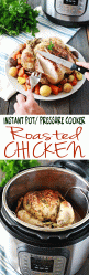 chicken roasted pot instant recipe salt cooker pressure tangled taste tangledwithtaste