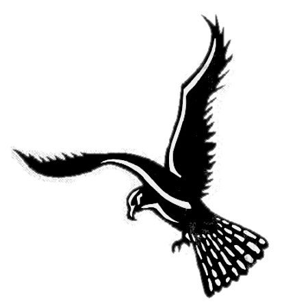 tangotwee-falcon