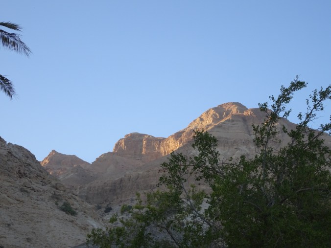 LRG_DSC00400