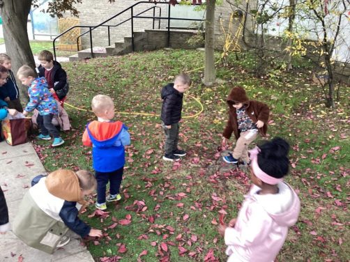 Autumn Leaves are Falling35 Autumn Leaves are Falling35