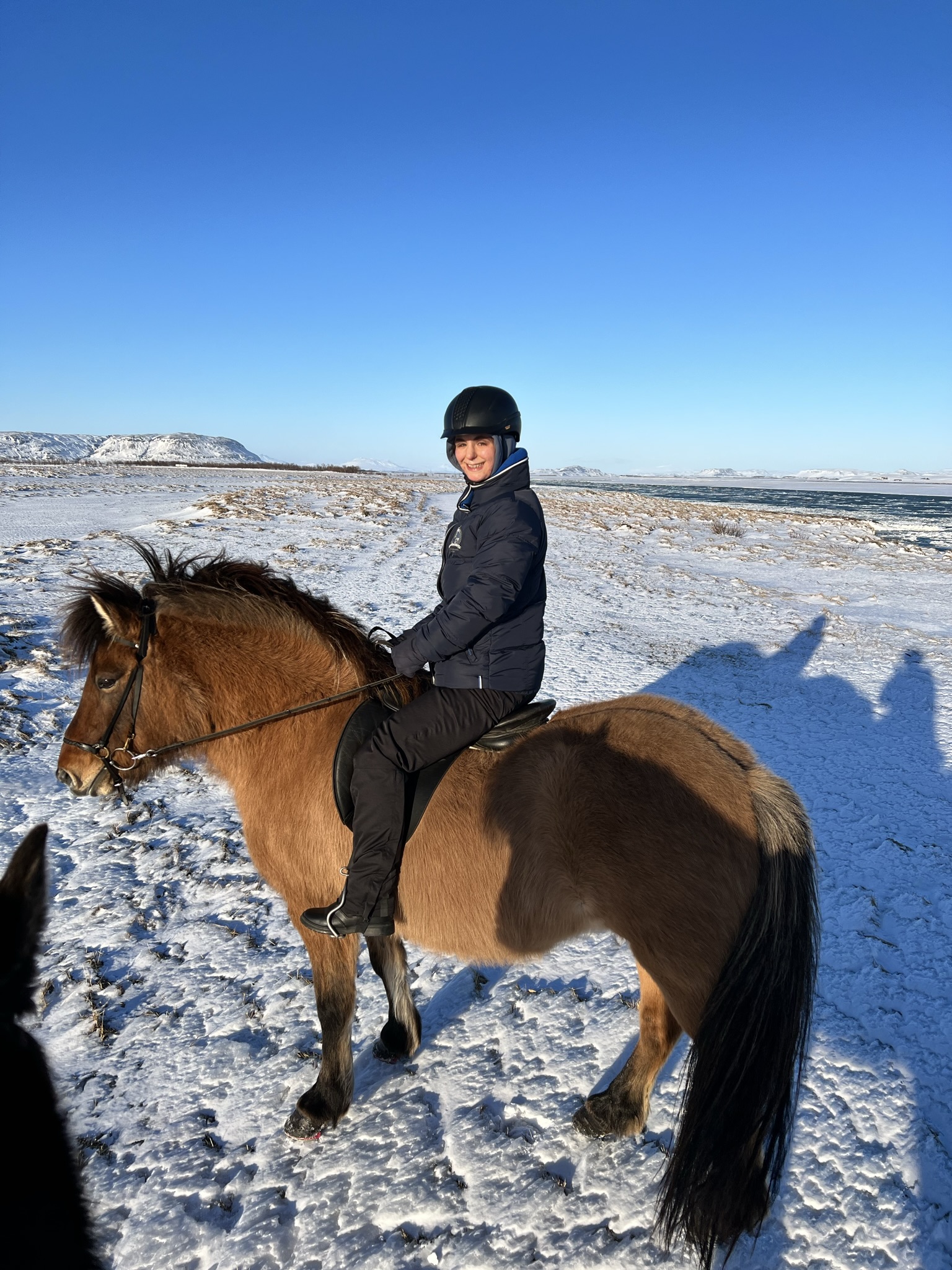 Islandshestar Winter riding and Northern Lights