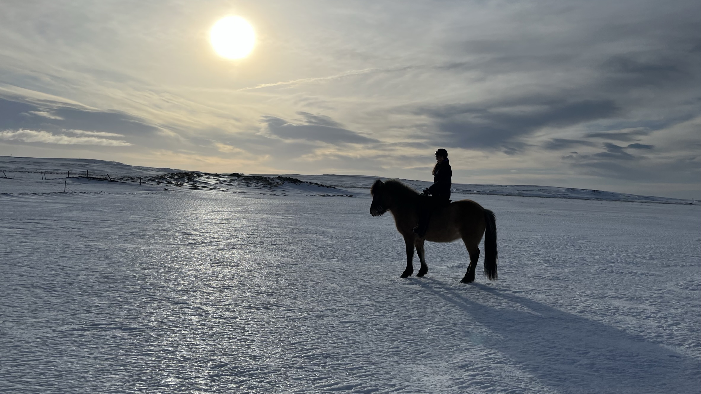 Ausritt mit einem Islandpferd über die Schneelandschaft mit der tiefstehenden Sonne