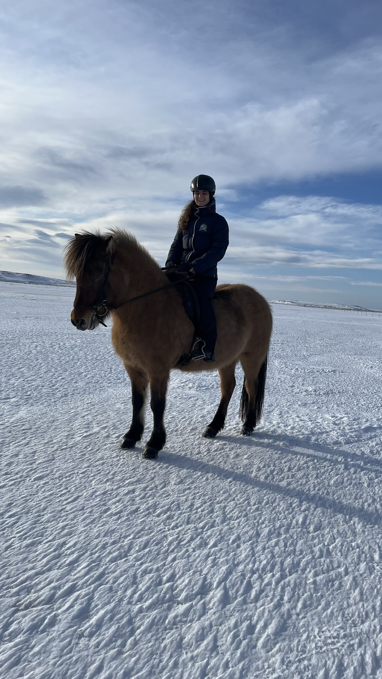 Islandshestar Winter riding and Northern Lights