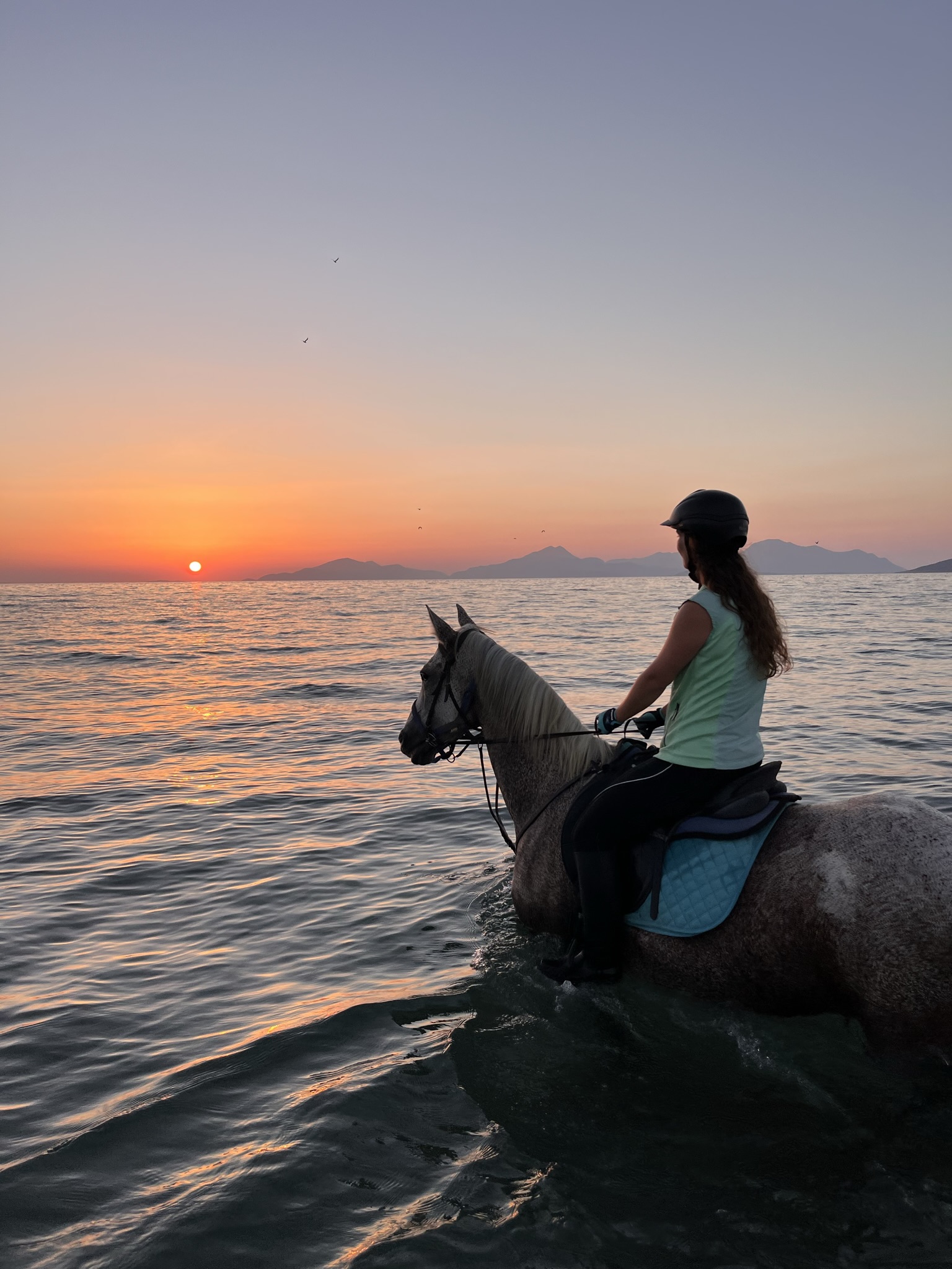 Erikas Horse Farm Sonnenuntergangsritt