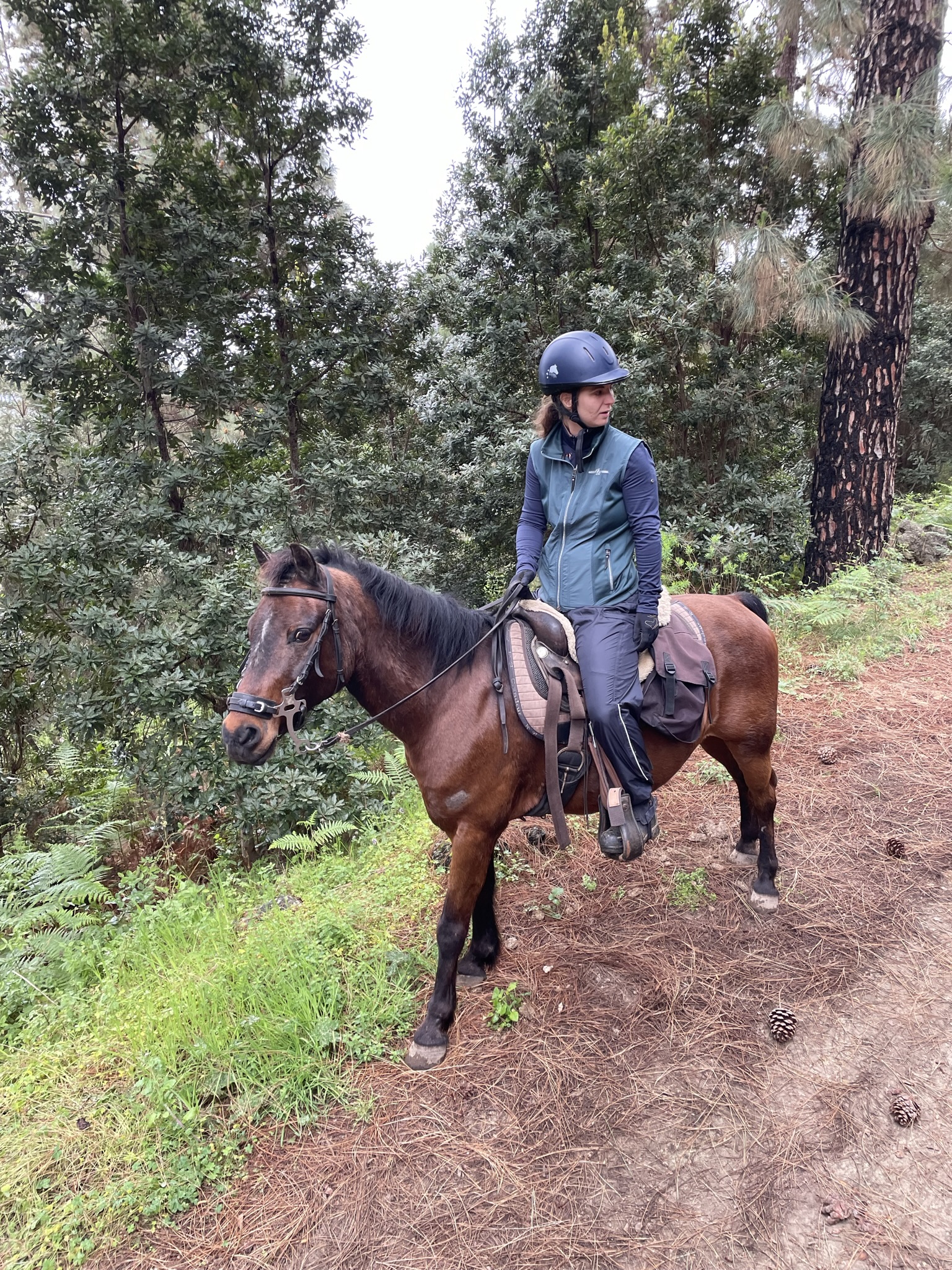Finca Estrella Ausritt 5 Stunden
