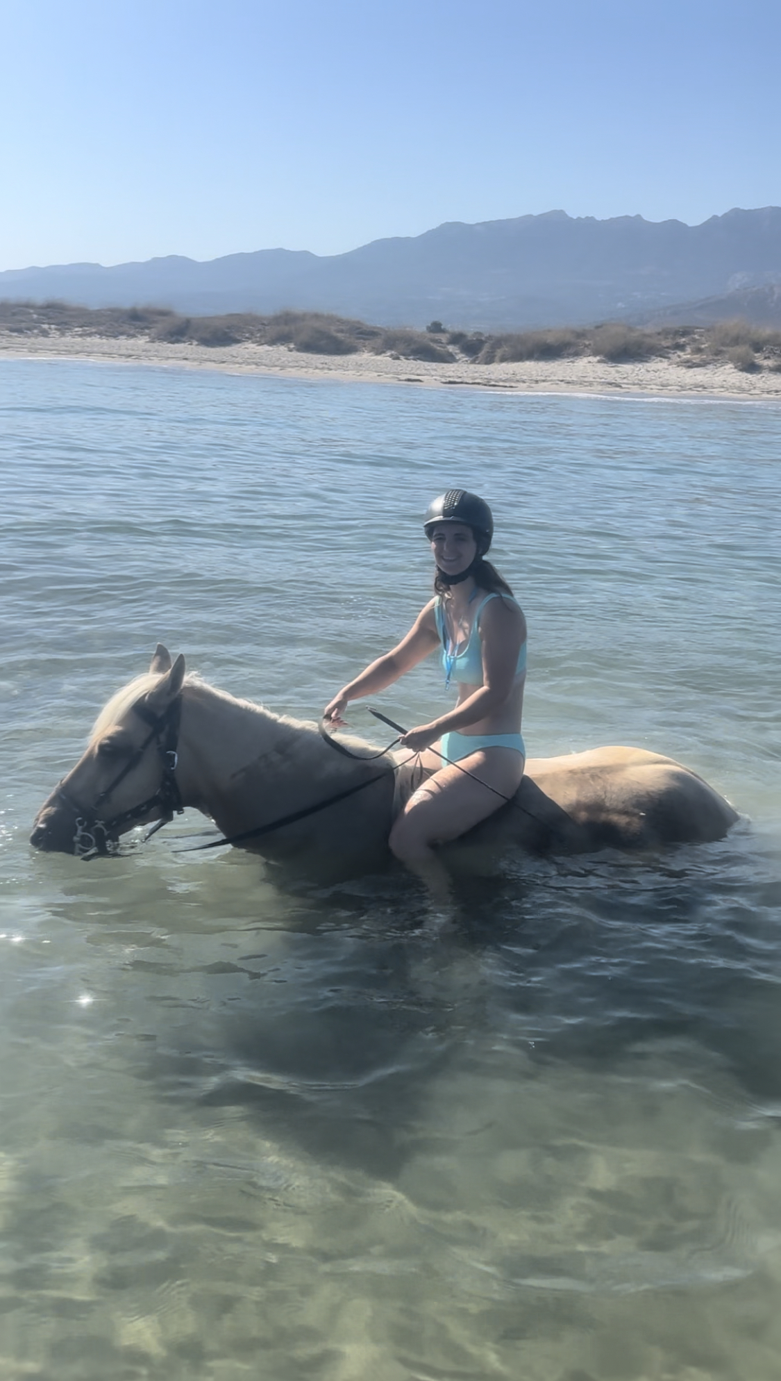 Erikas Horse Farm