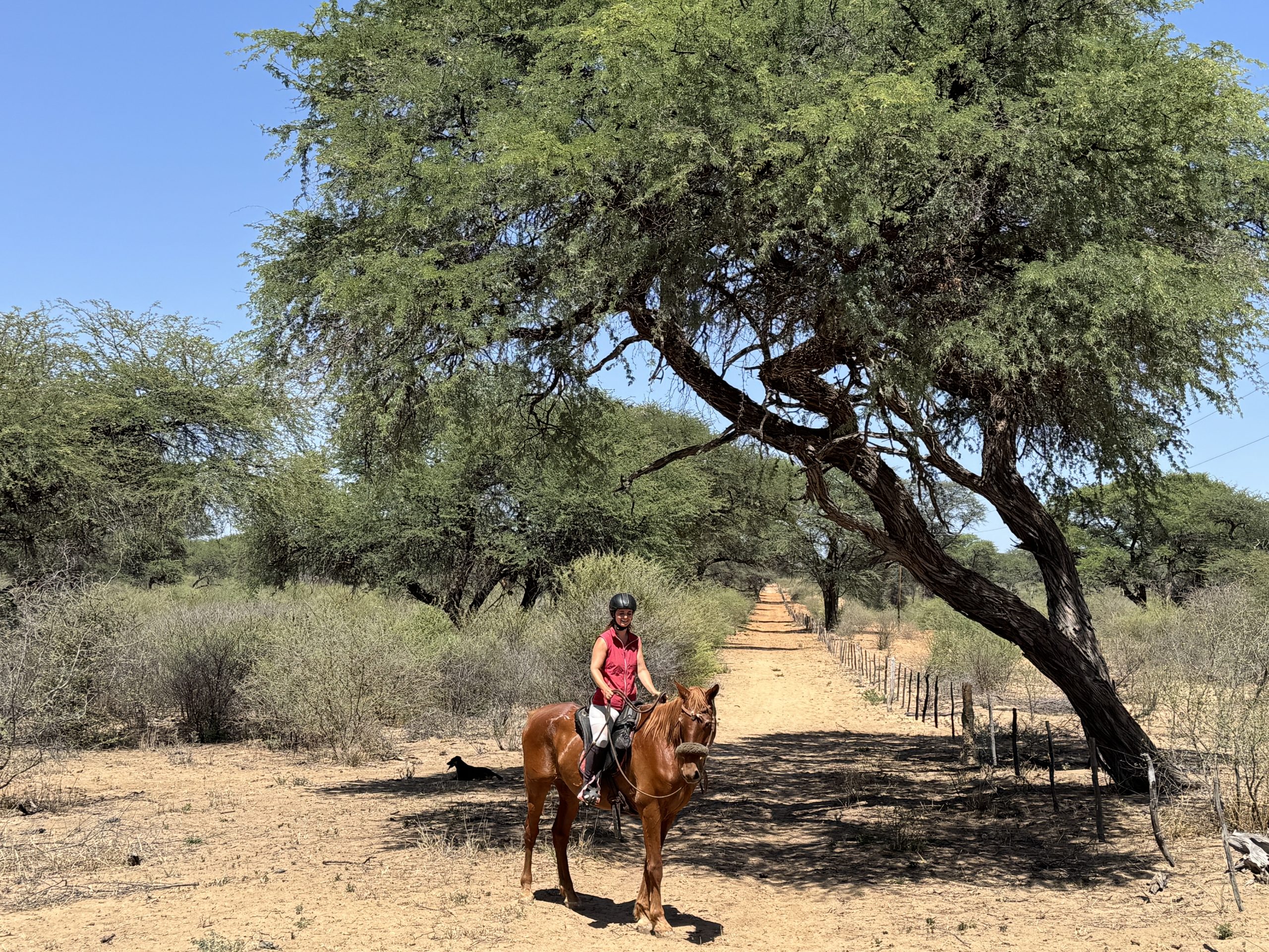 Omambonde Tal Reiturlaub