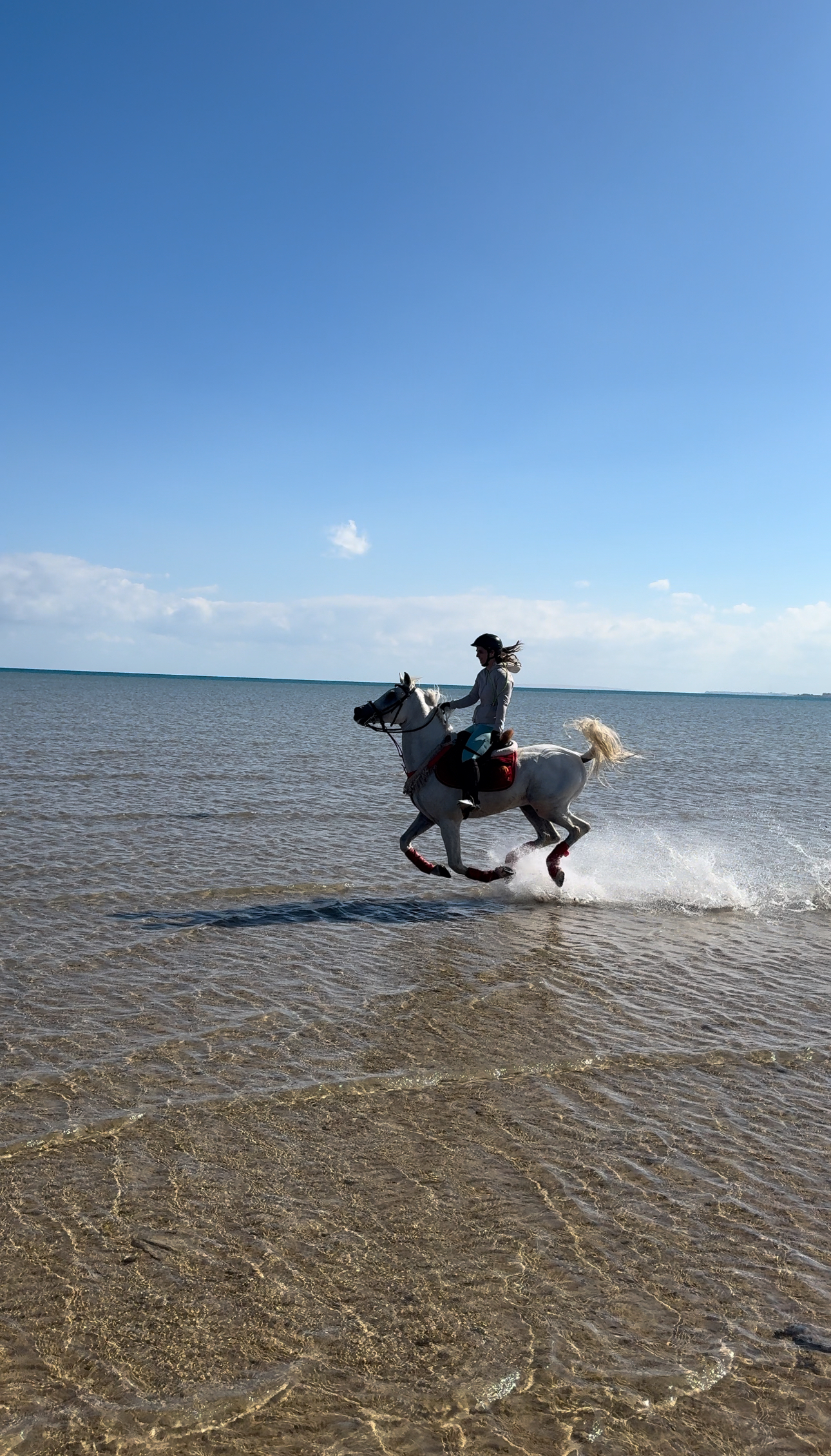 Captain Joes Horse Stable