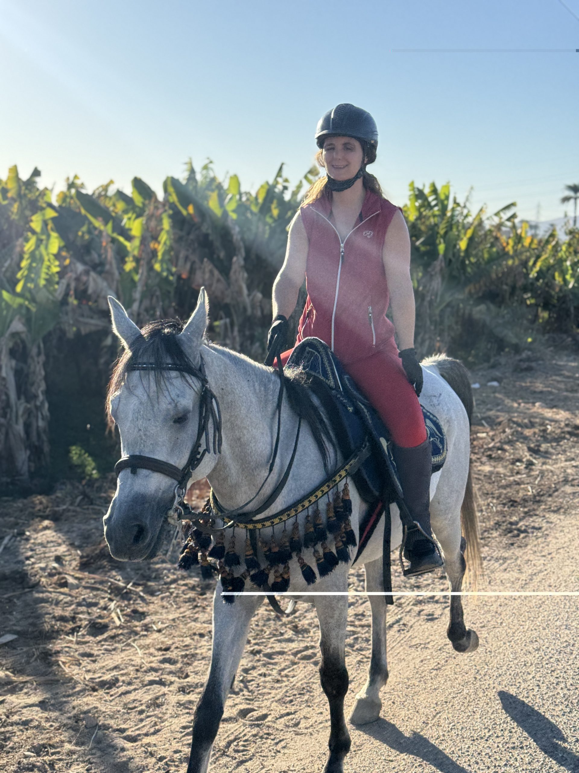 VIP Riding Luxor zweieinhalb Stunden Bananenplantage