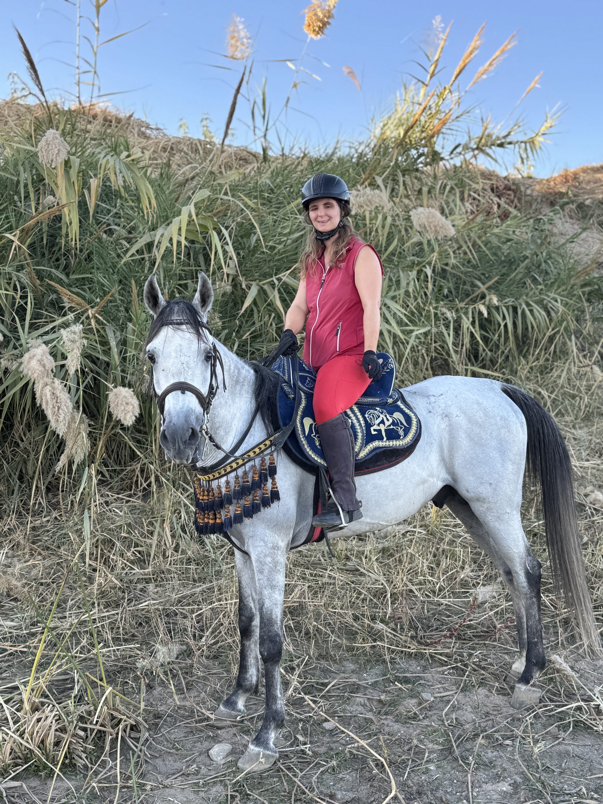 VIP Riding Luxor zweieinhalb Stunden Bananenplantage
