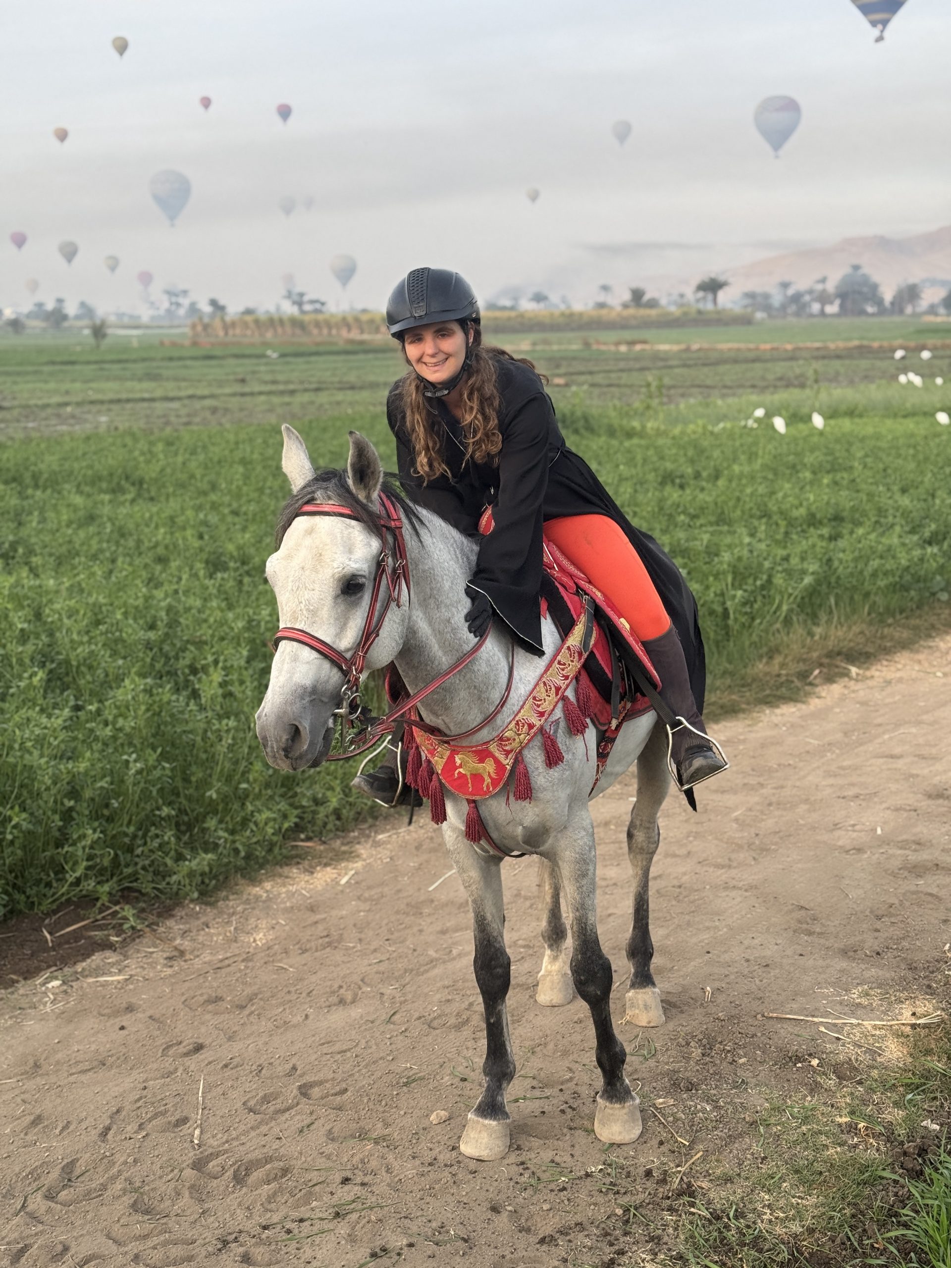 VIP Riding Luxor 90 Minuten Sonnenaufgang