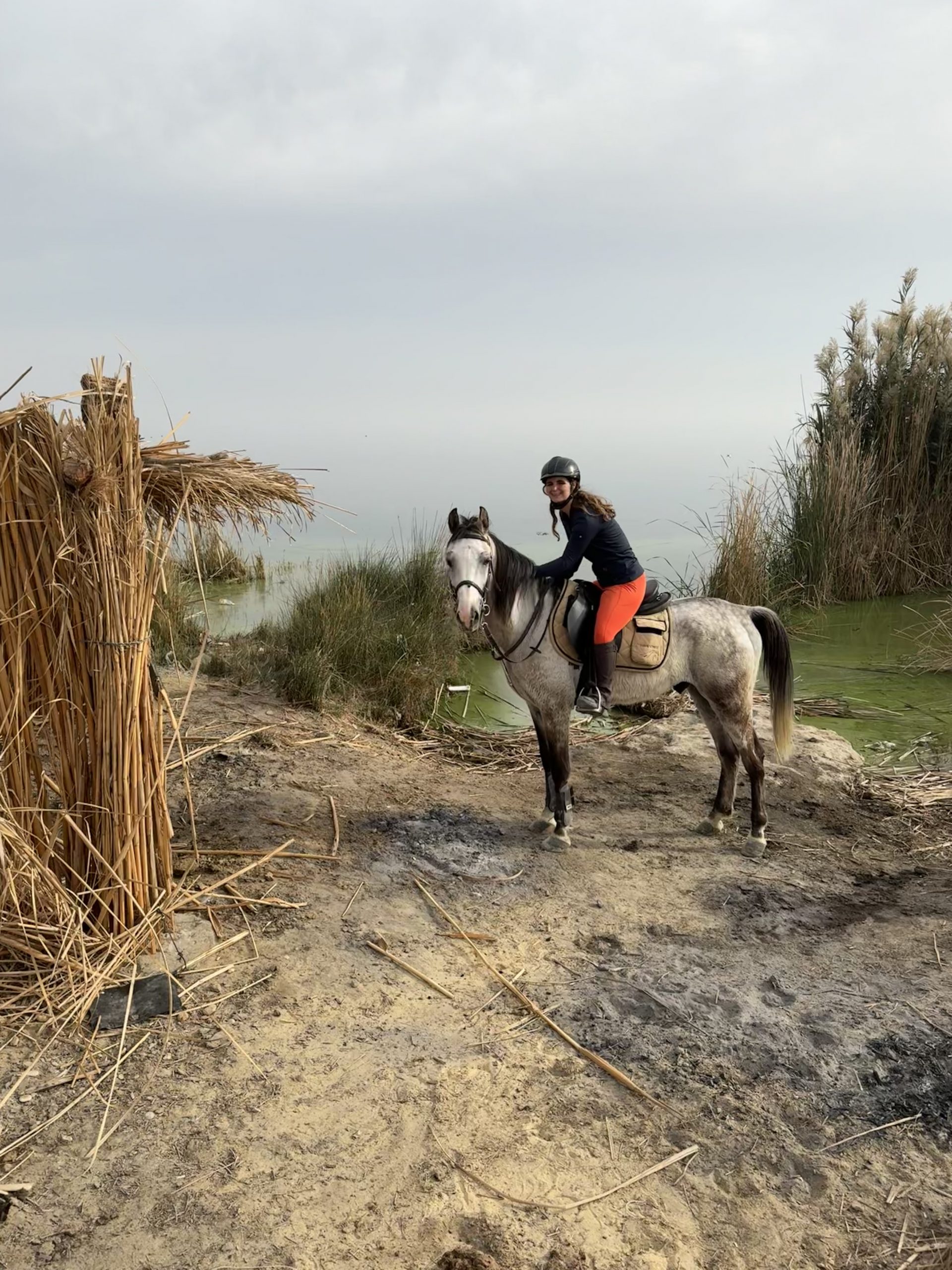 Tunis Stable 5 h White Dessert