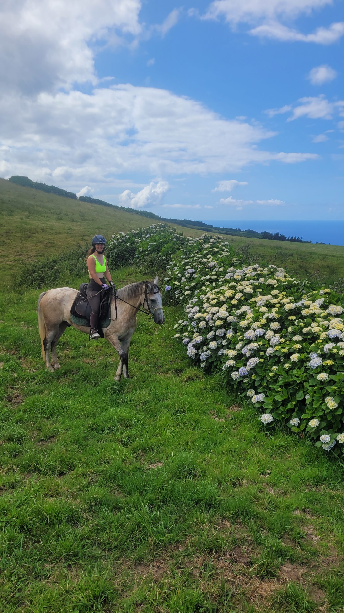 Diogo Silva - Equestrain Adventure
