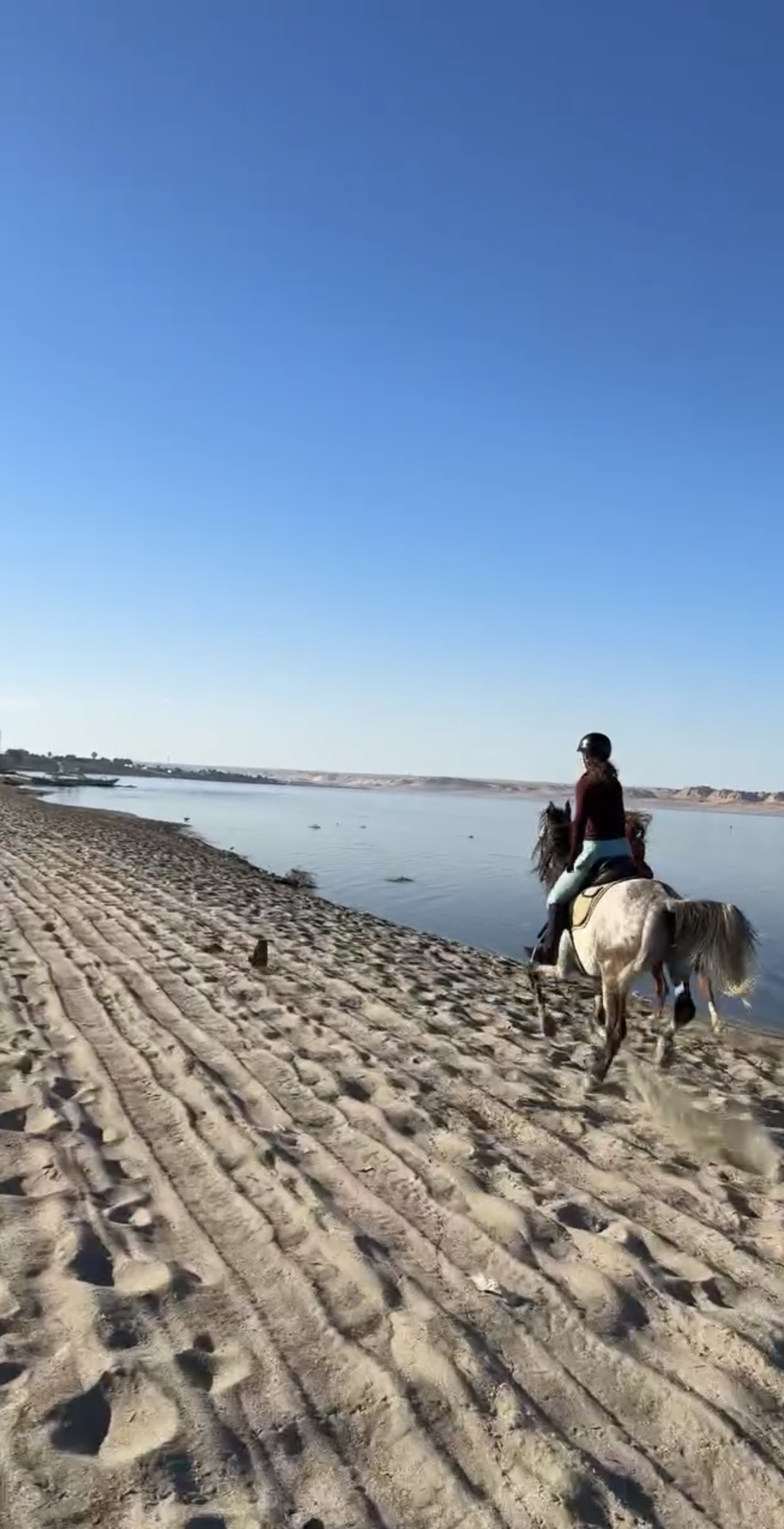 Tunis Stable 1 h Qaron Lake