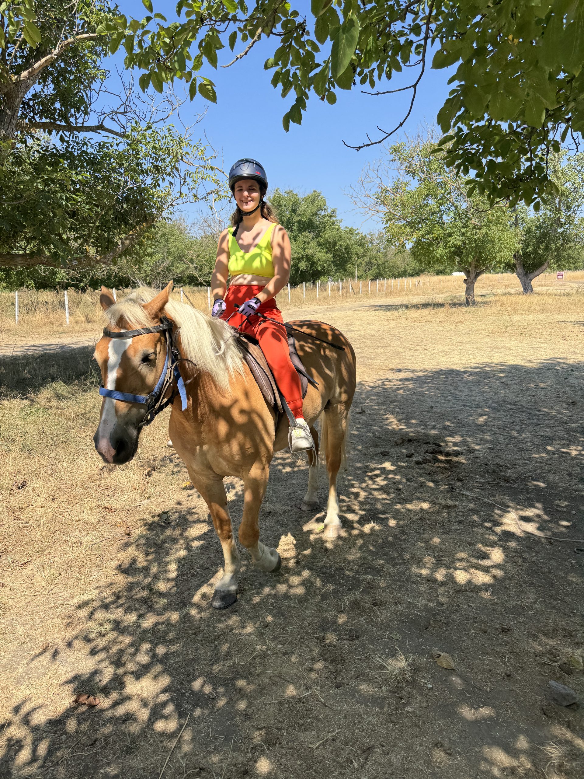Ranch Todorovi