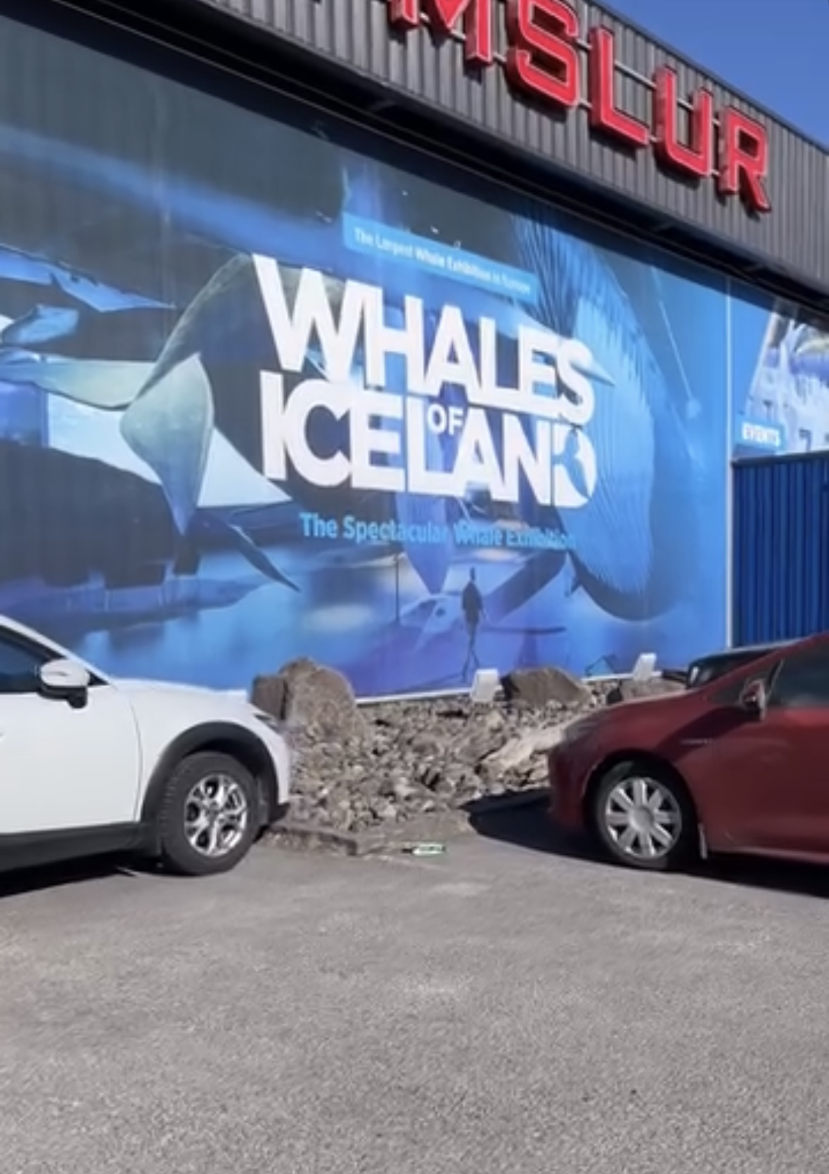 Whales of Iceland in Reykjavik