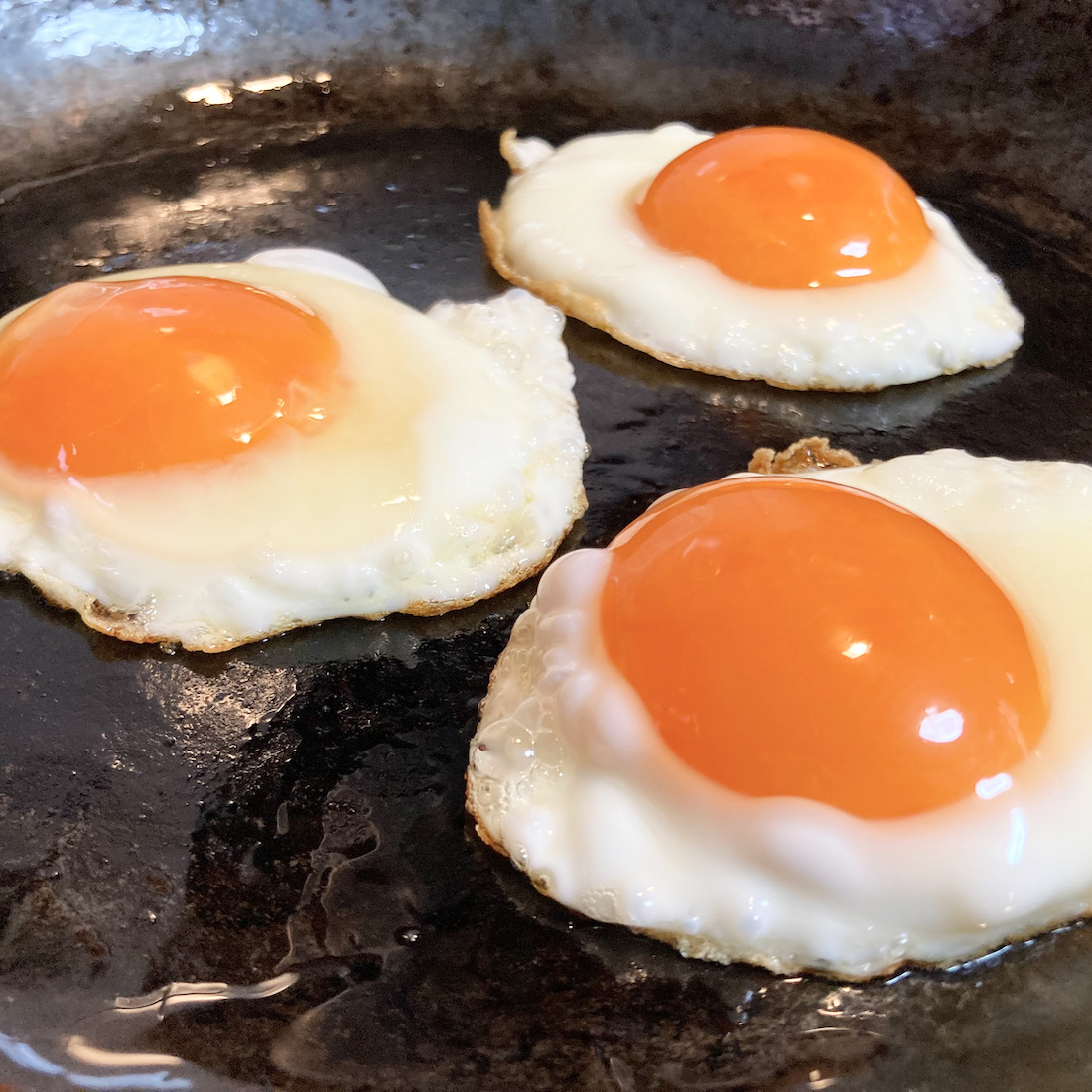 蓋をしない派です