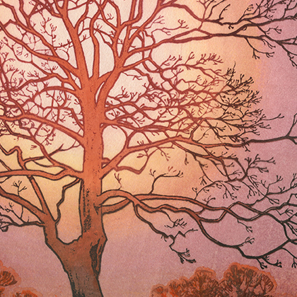 Morning Tree