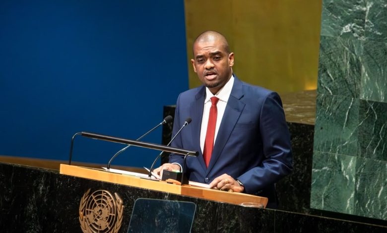 Tanzania declares bid for UN Security Council seat