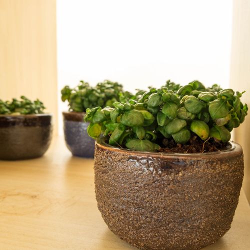 Val Flora Github - Premium Abstract Texture Gallery - Full HD