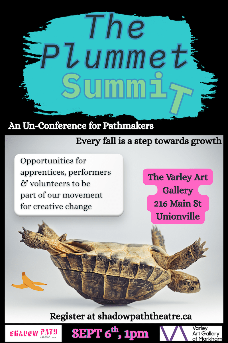TAPA - Shadowpath / The Plummet Summit for York Region Artists
