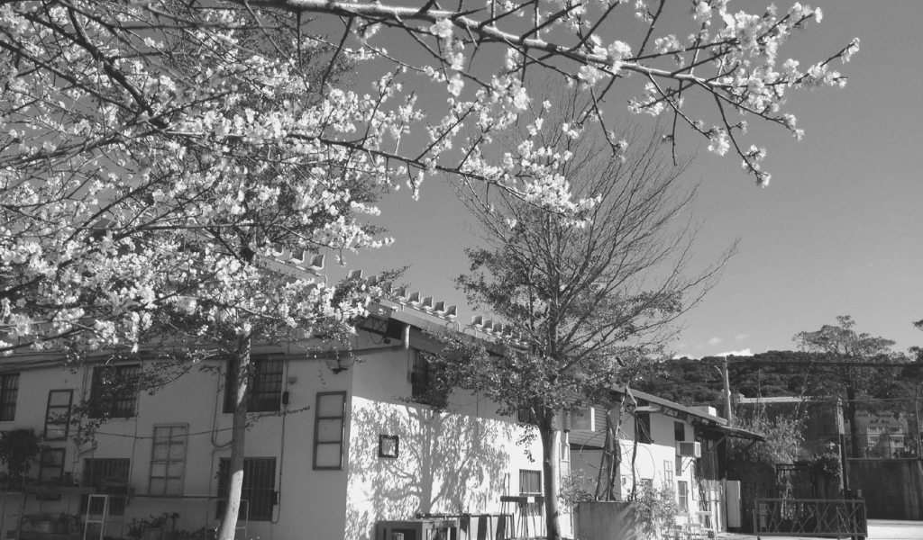一個藝術駐村空間營運,需要多少悉心?深耕藝術界25年的竹圍工作室宣告結束 After the 25 anniversary, Bamboo Culture Studio announce the statement about it will be closed permanently.