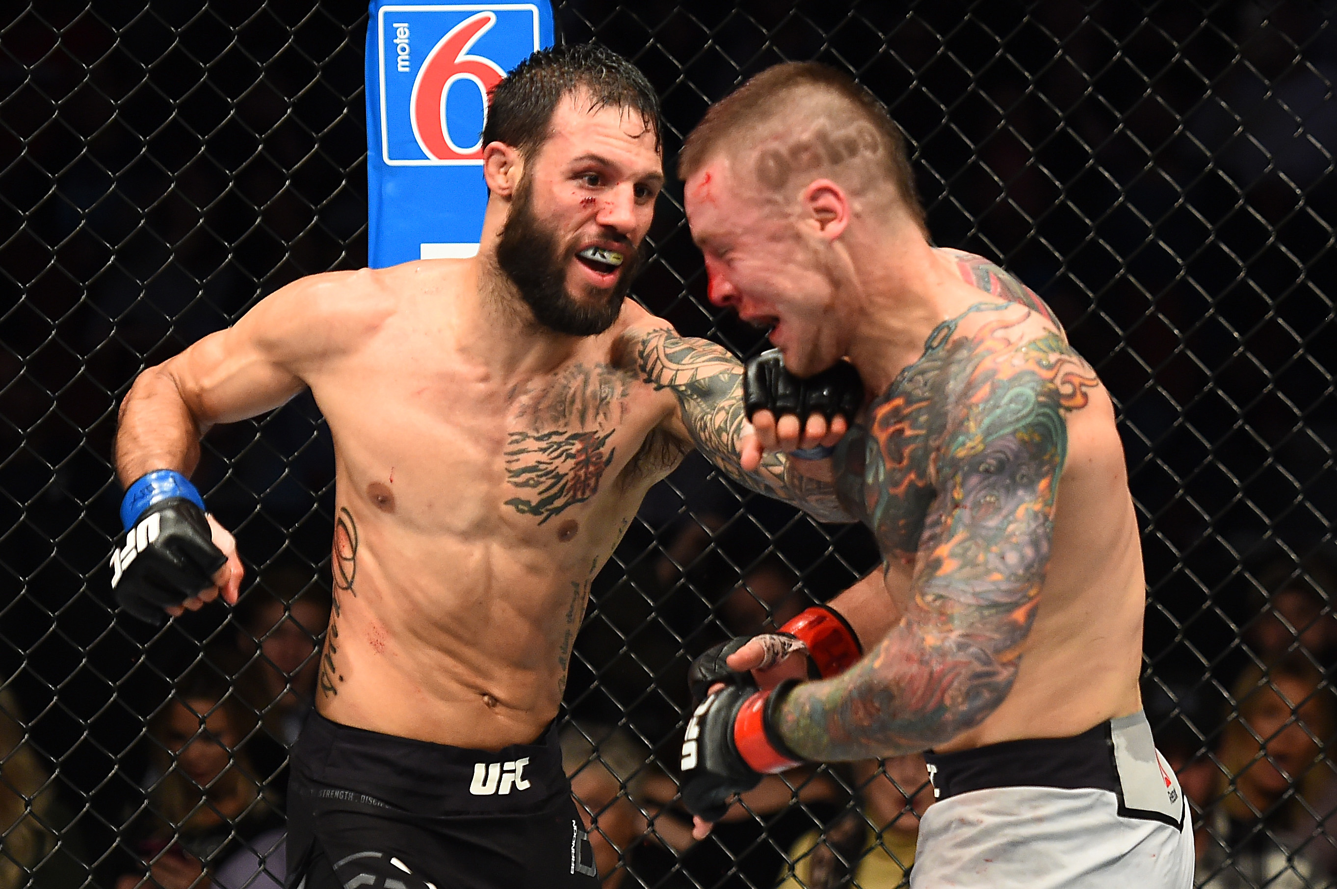 Brandon Davis UFC Fight Night UFC Vegas 40 MMA Killer B