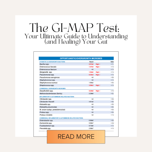 The GI MAP Test What It Reveals About Your Gut Health Gi Map Test 