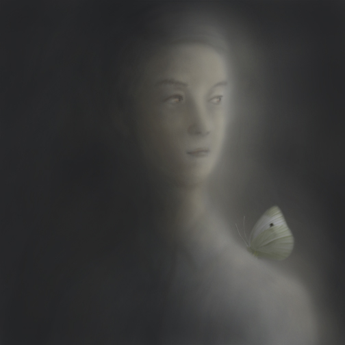 a man and a butterfly #7