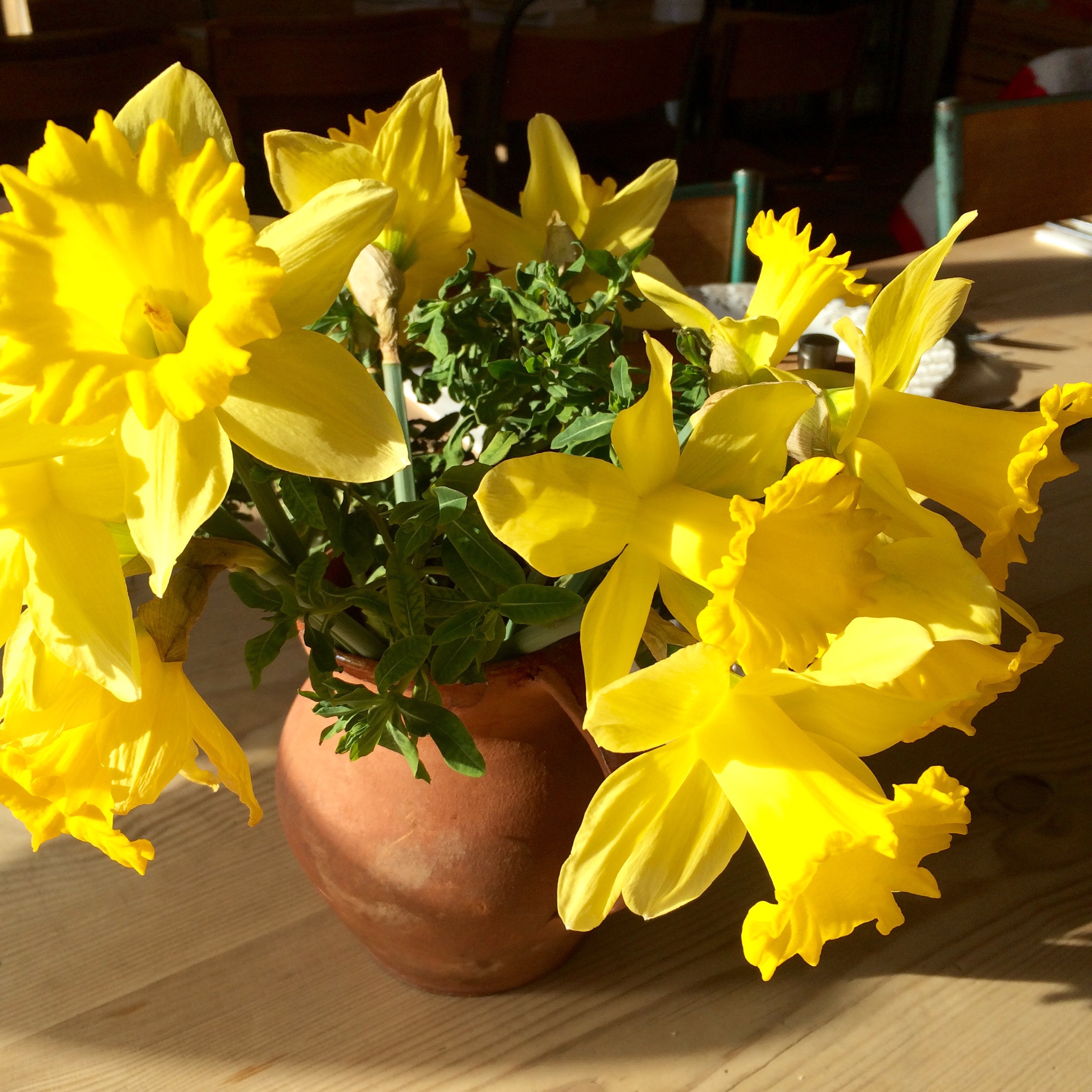 Riverford Field Kitchen