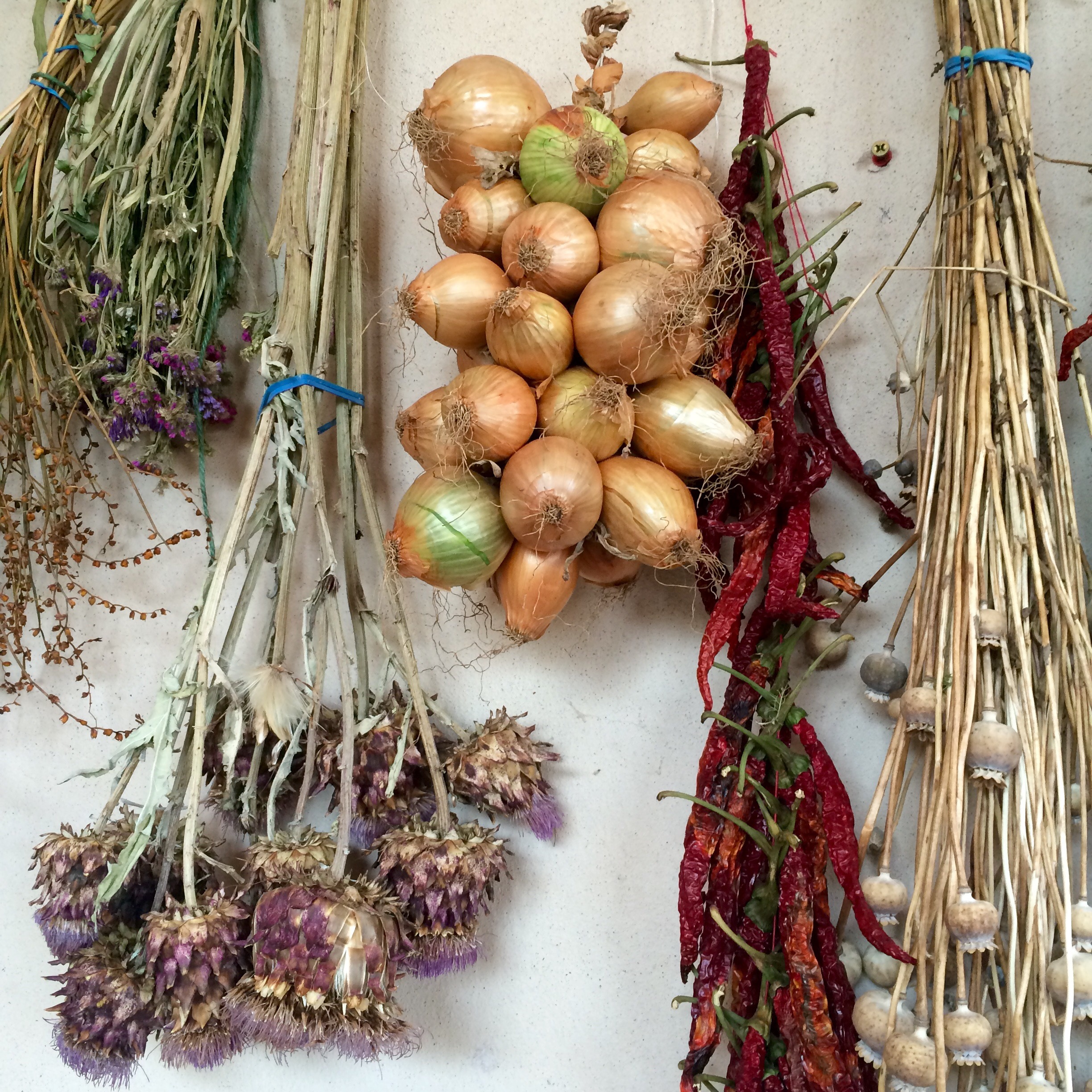 Riverford Field Kitchen