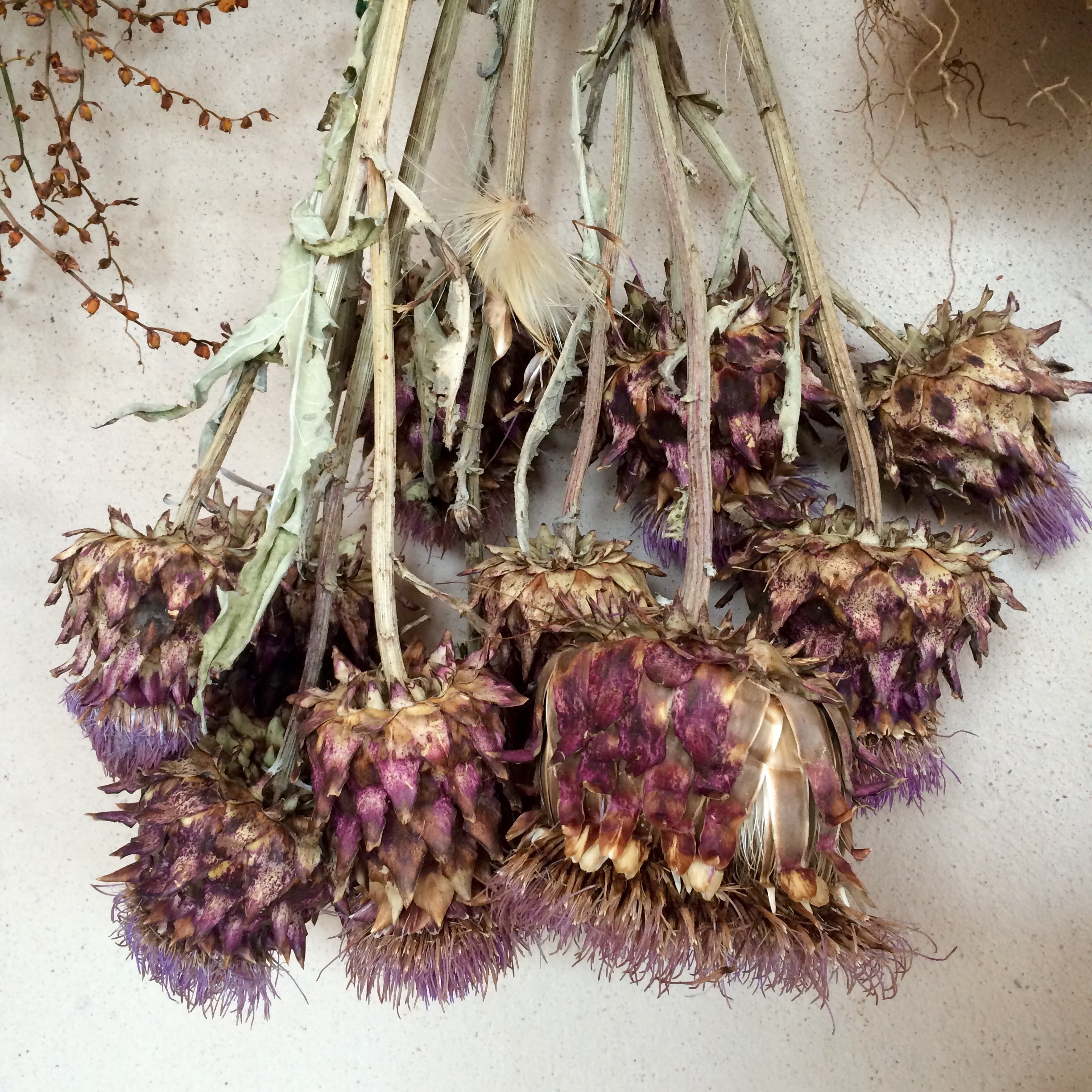 Riverford Field Kitchen