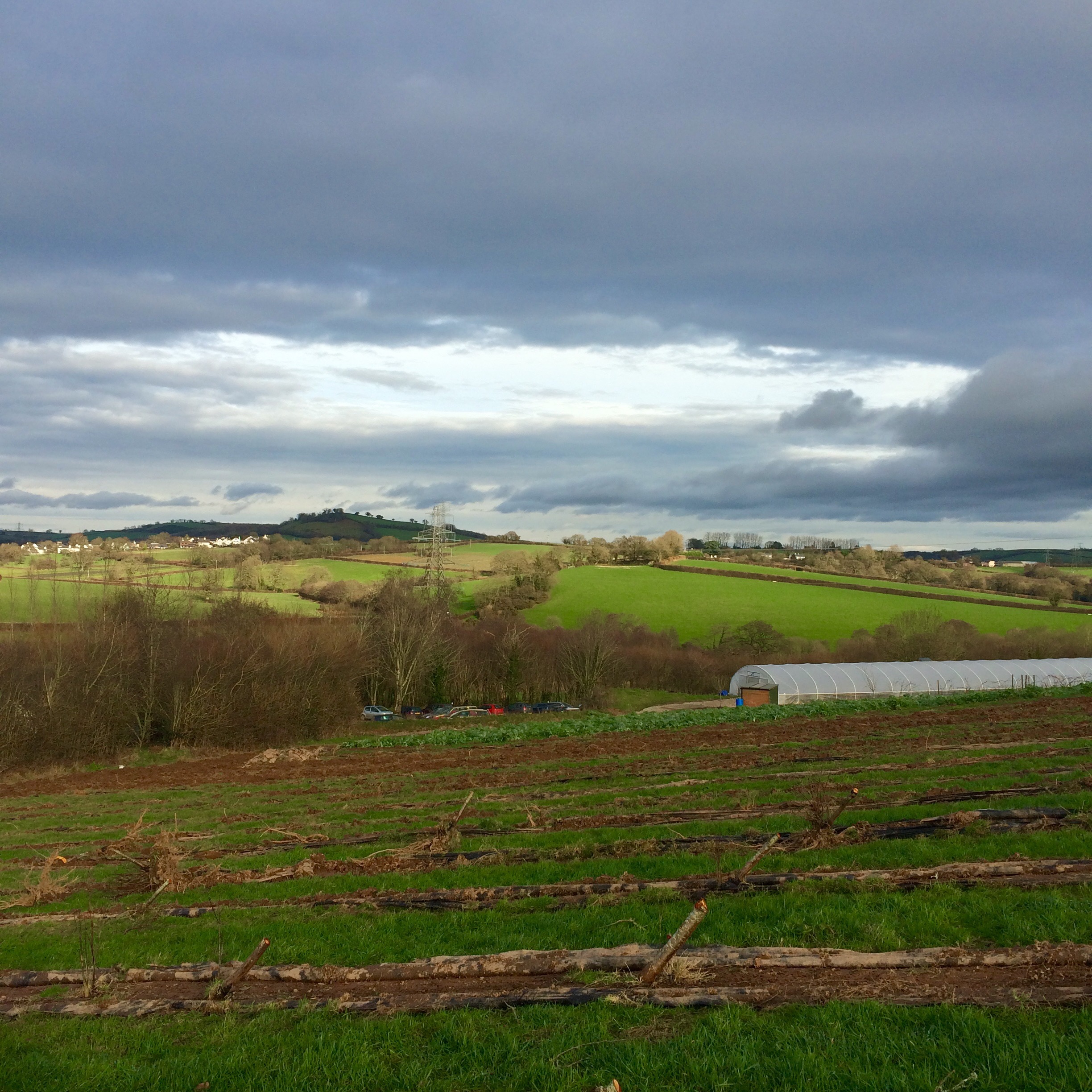 Riverford Field Kitchen
