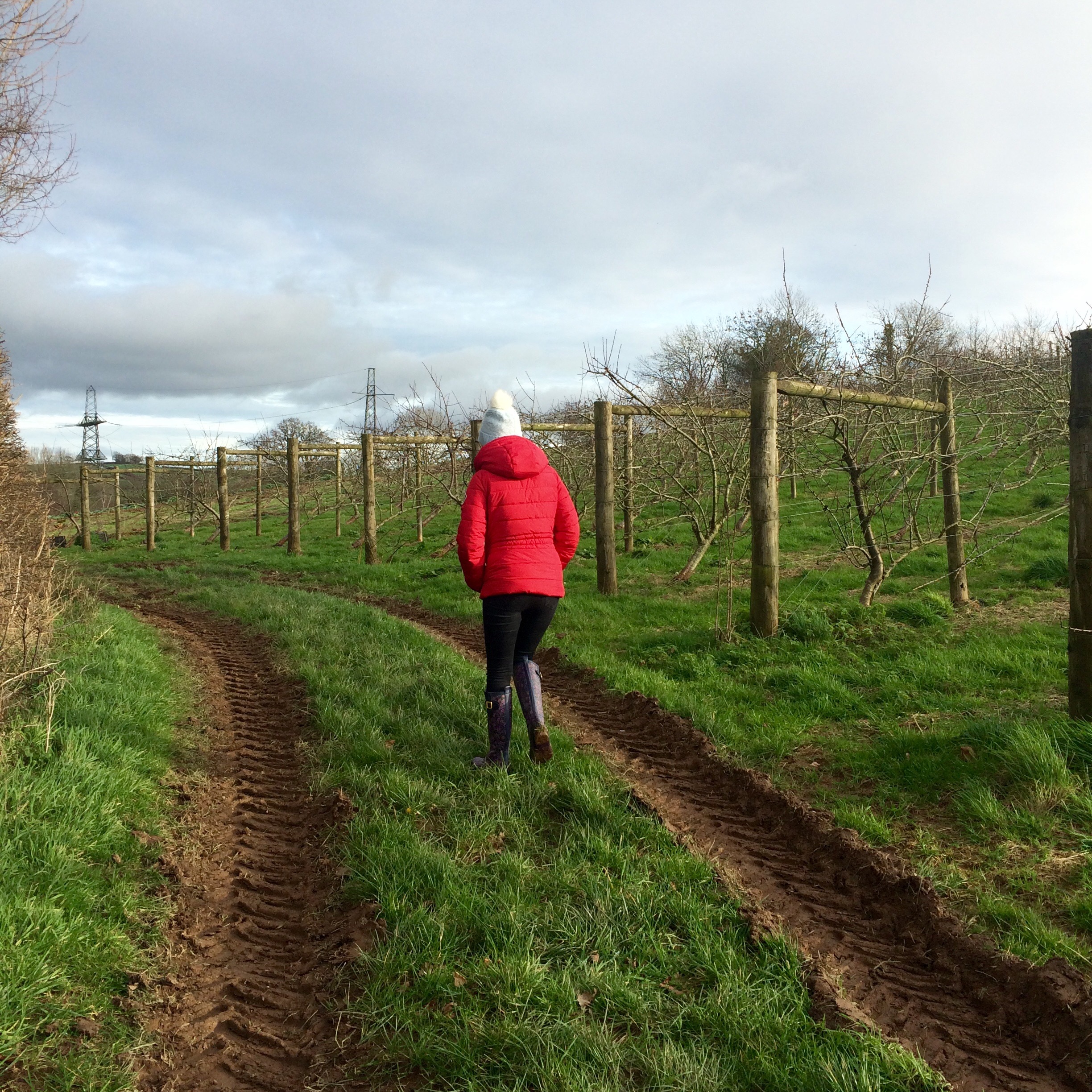Riverford Field Kitchen