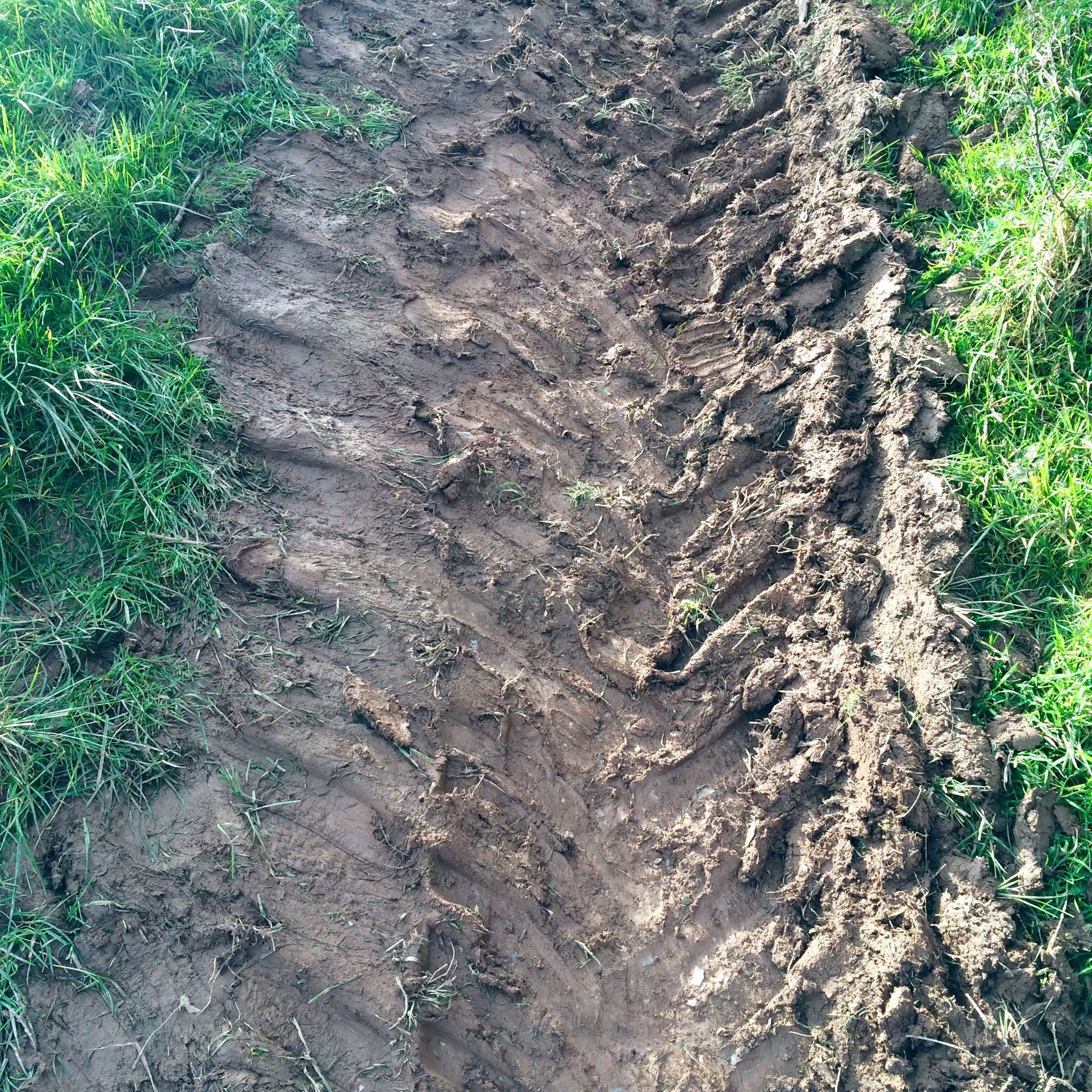 Riverford Field Kitchen