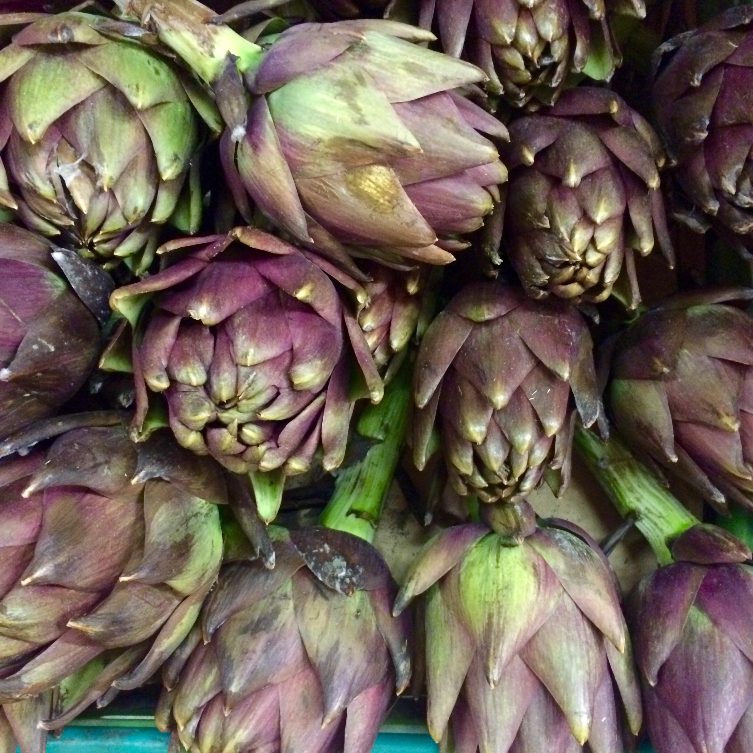 Riverford Field Kitchen