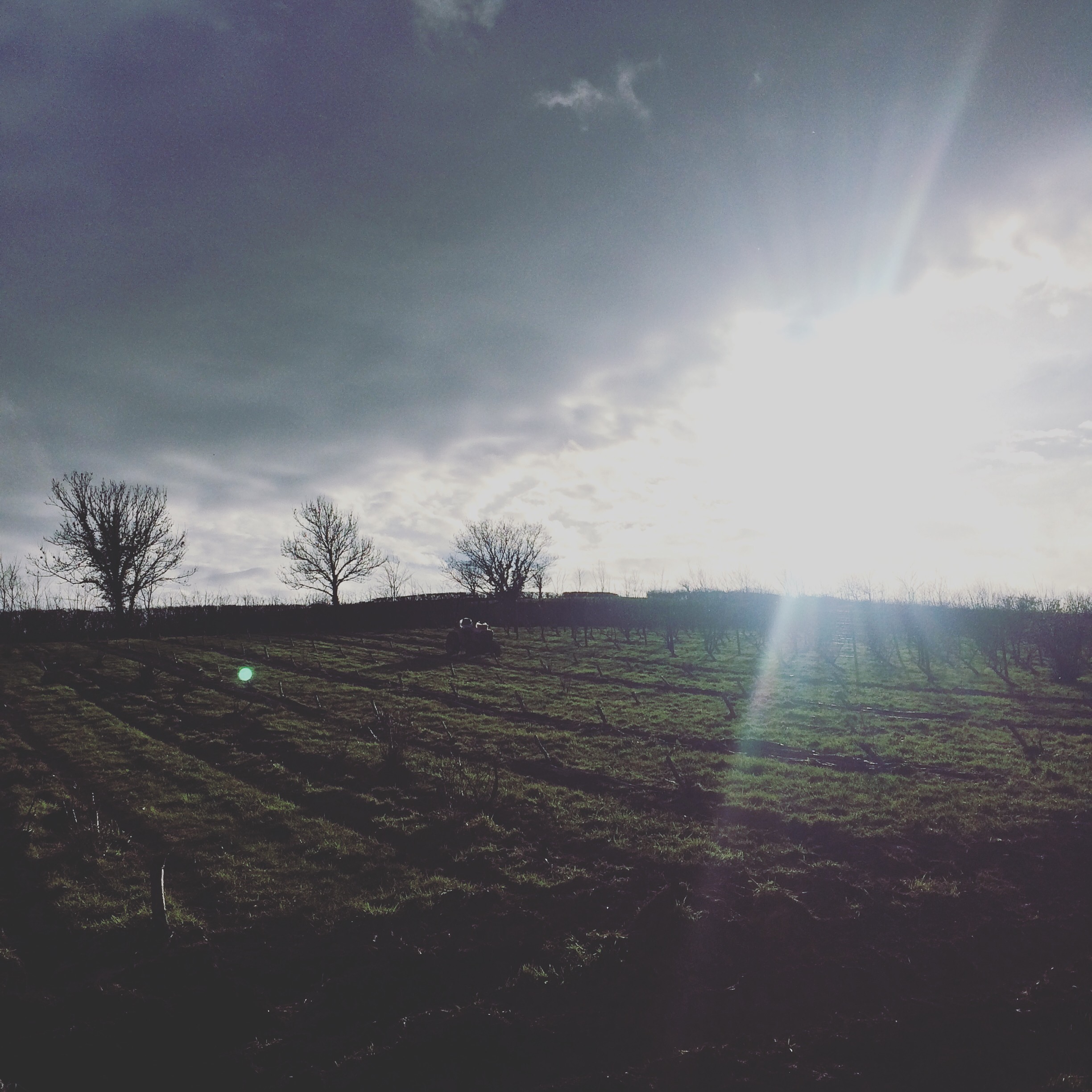 Riverford Field Kitchen