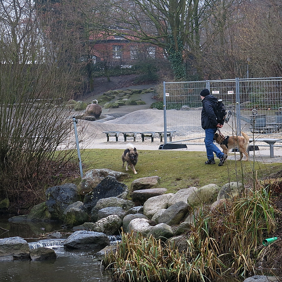 Tara soll ins Wasser...