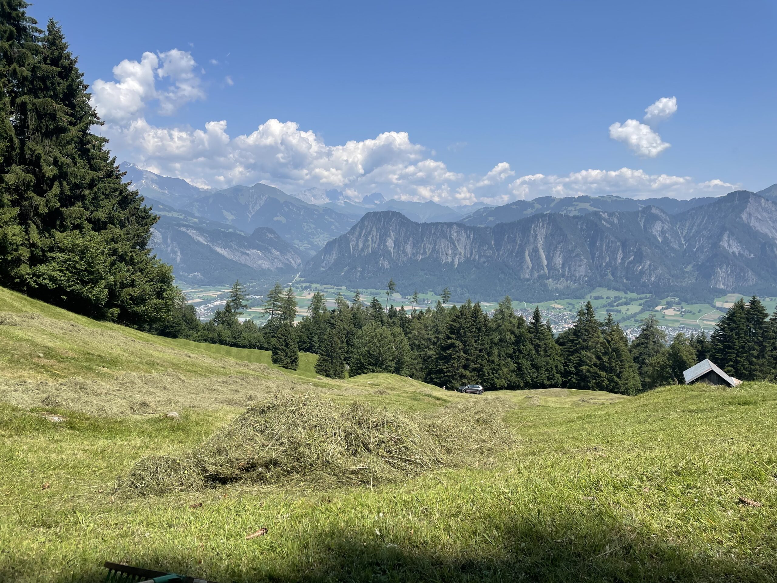 Blick ins Bündner Rheintal mit Heuen