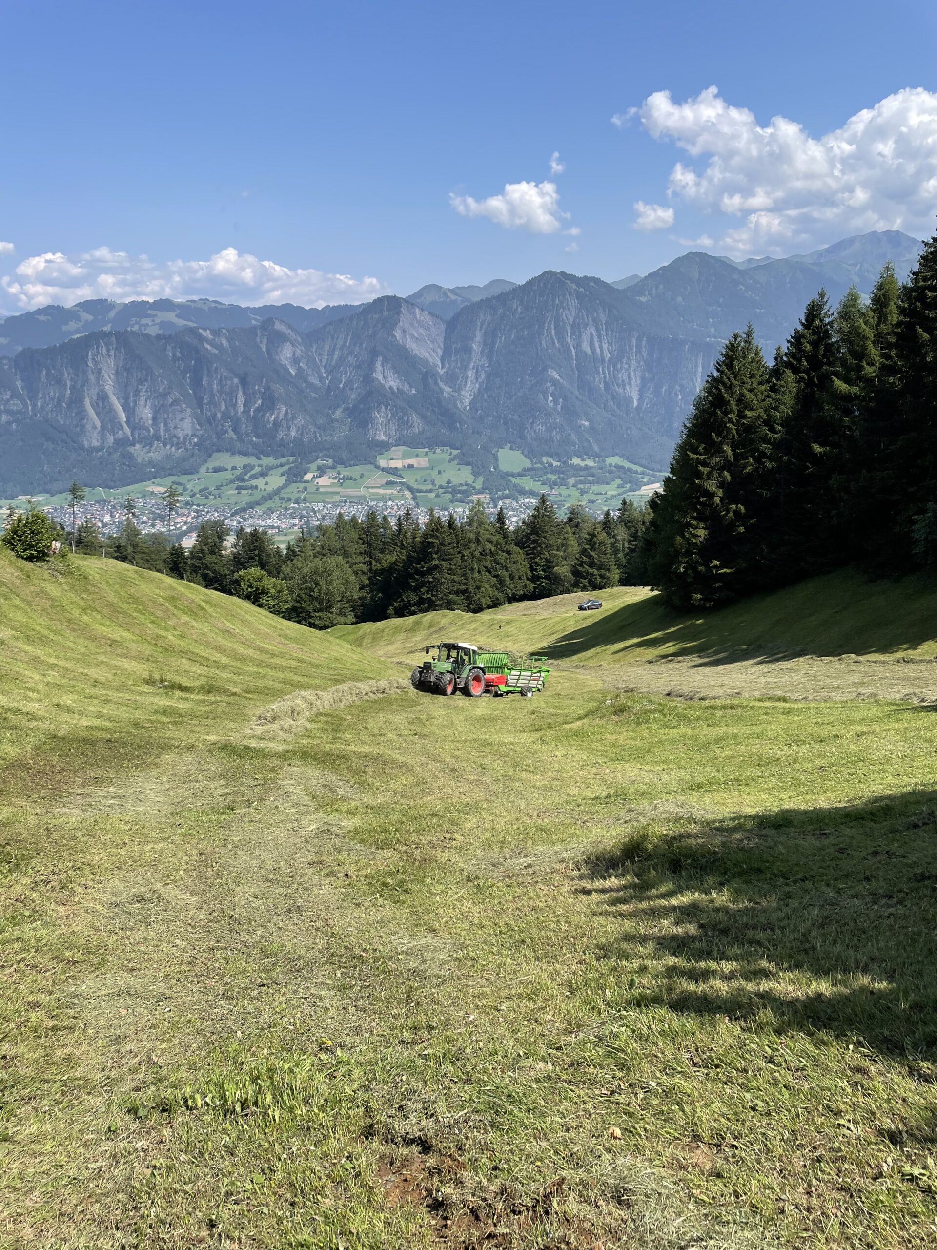 Blick ins Bündner Rheintal mit Heuen