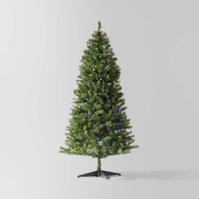 Large Christmas Trees Target - Download Elegant Nature Texture | High Resolution