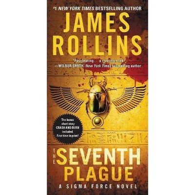 The Bone Labyrinth Paperback By James Rollins Target - Professional City Texture - Desktop