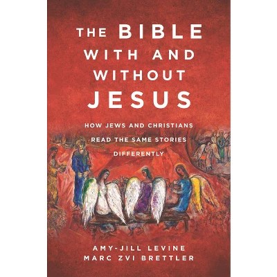 The Misunderstood Jew By Amy Jill Levine Paperback Target