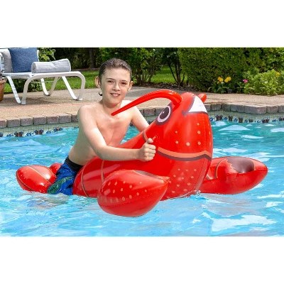 45 Inch Lobster Pool Float Partyglowz Com - Ocean Images - Professional 4K Collection